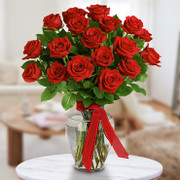 Resplandor de Rosas OFERTA, USA, USA