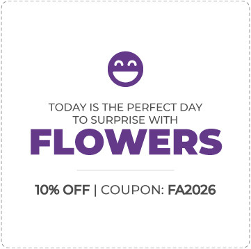 Offer in USA