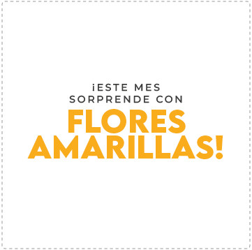 Oferta en USA