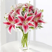 Lilies for You SALE!, USA, USA
