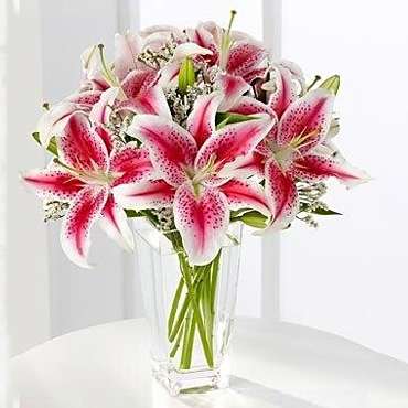 Lilies for YouSALE!