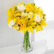 Shining Stars, USA, USA