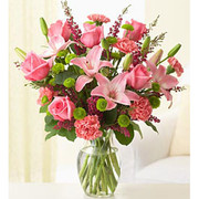 World’s Beauty, USA, USA