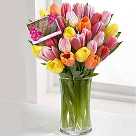 Multi-Colored Tulips FREE CARD!
